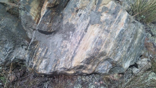 Гигантские зелёные валуны для ландшафтного дизайна весом более 5 тонн купить в Чеченской Республике